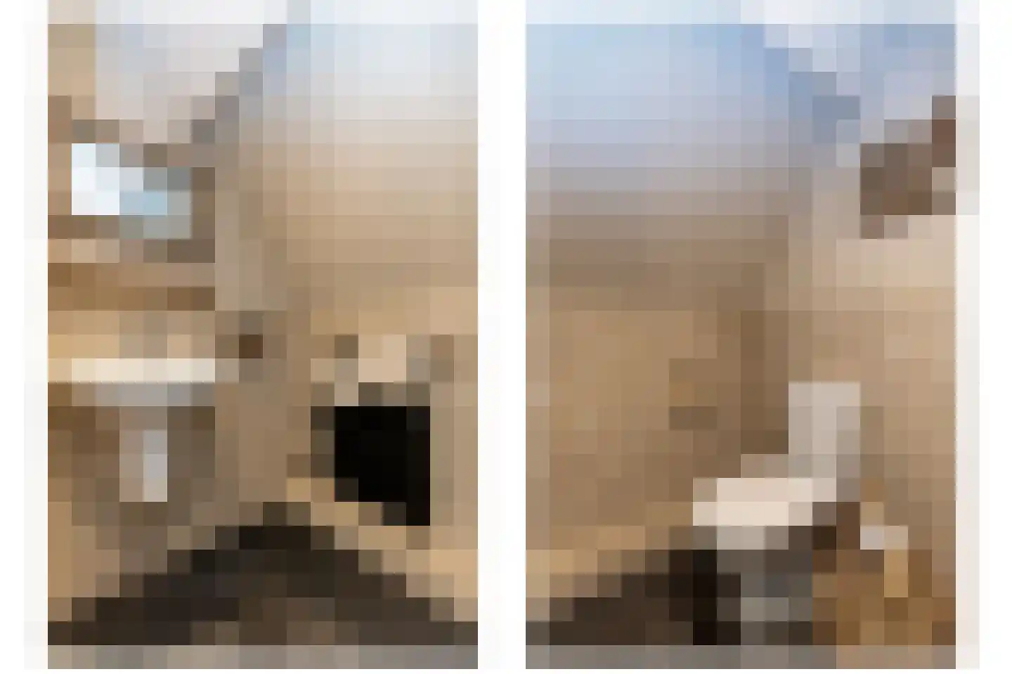 Voorhei 11 Veghel thumbnail 31