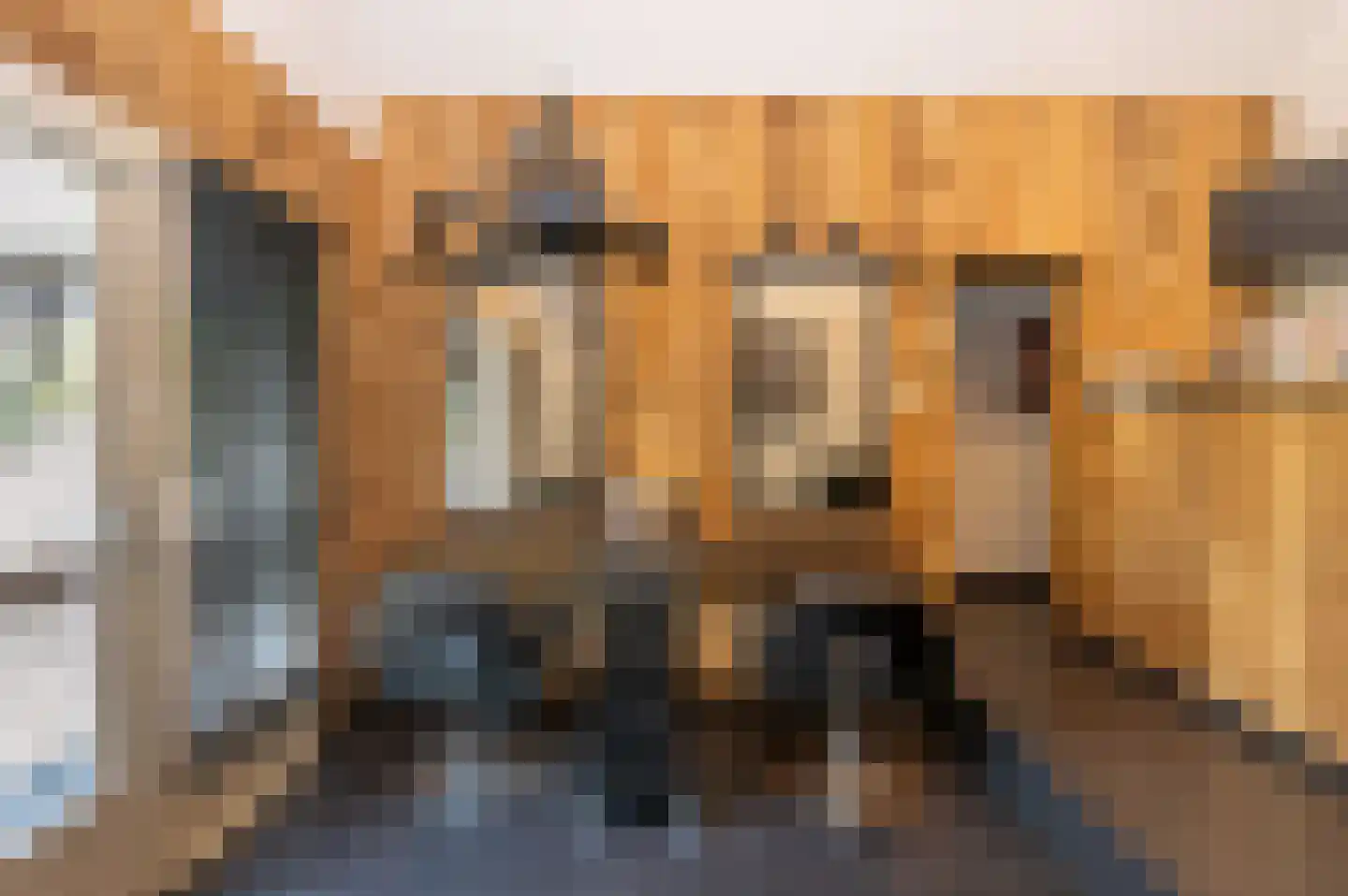 Voorhei 11 Veghel thumbnail 35