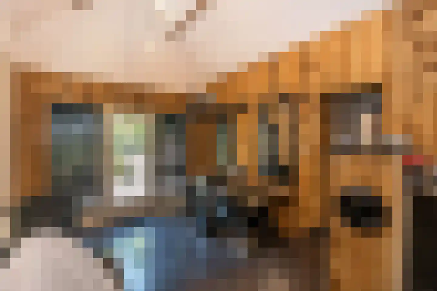 Voorhei 11 Veghel thumbnail 36