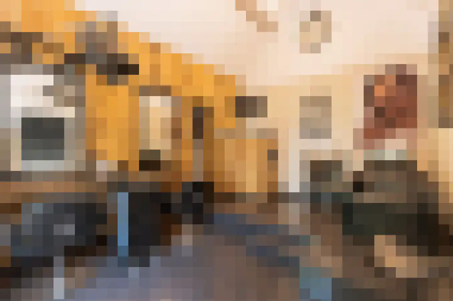 Voorhei 11 Veghel thumbnail 37