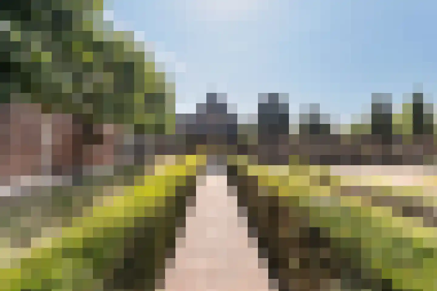 Voorhei 11 Veghel thumbnail 40