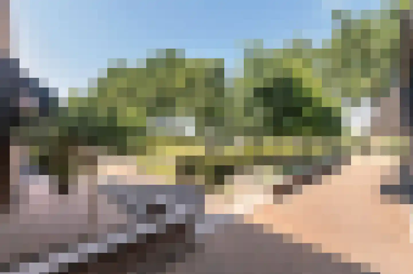 Voorhei 11 Veghel thumbnail 41