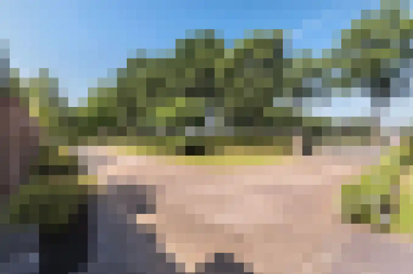 Voorhei 11 Veghel thumbnail 42