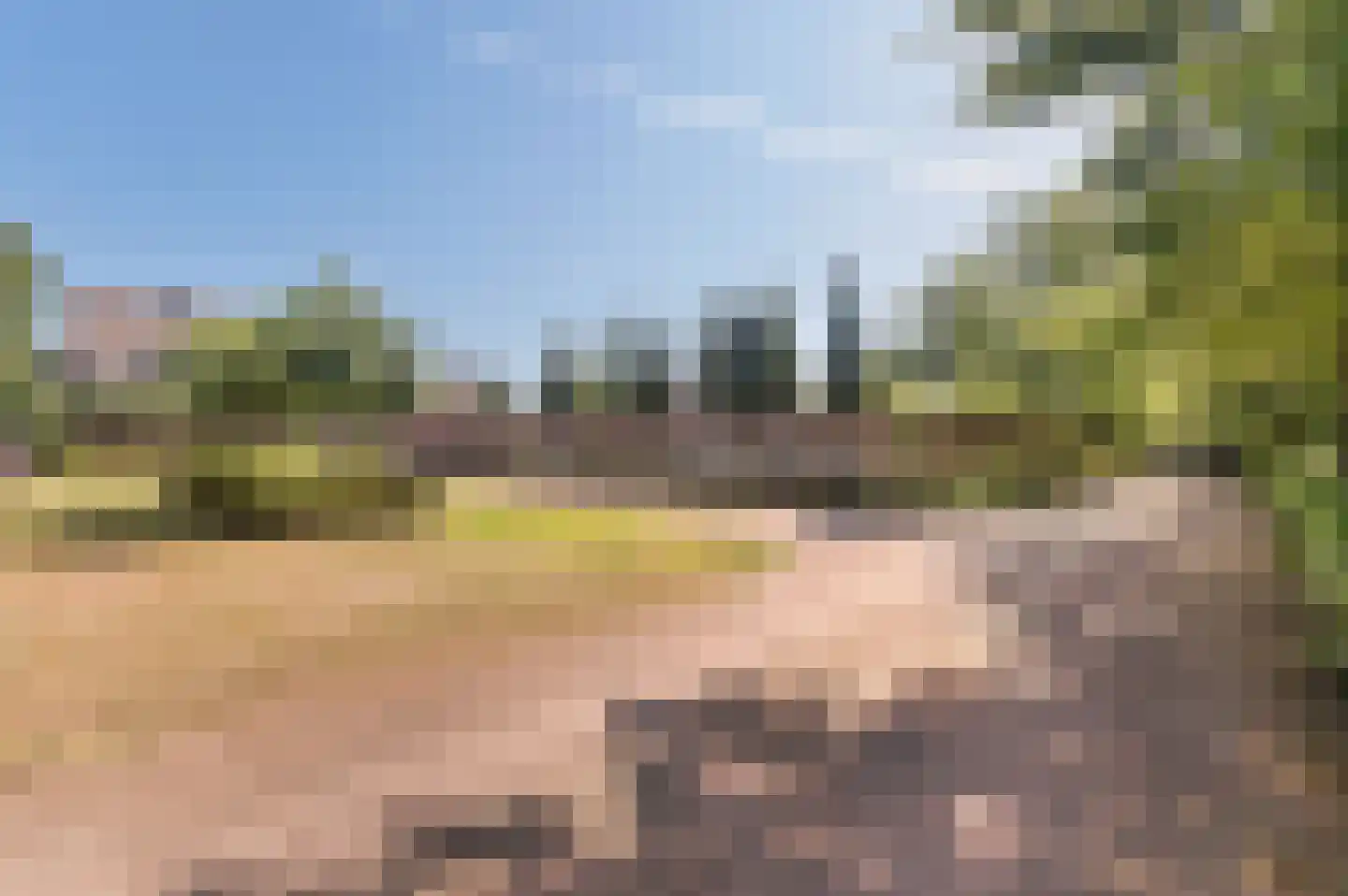 Voorhei 11 Veghel thumbnail 46
