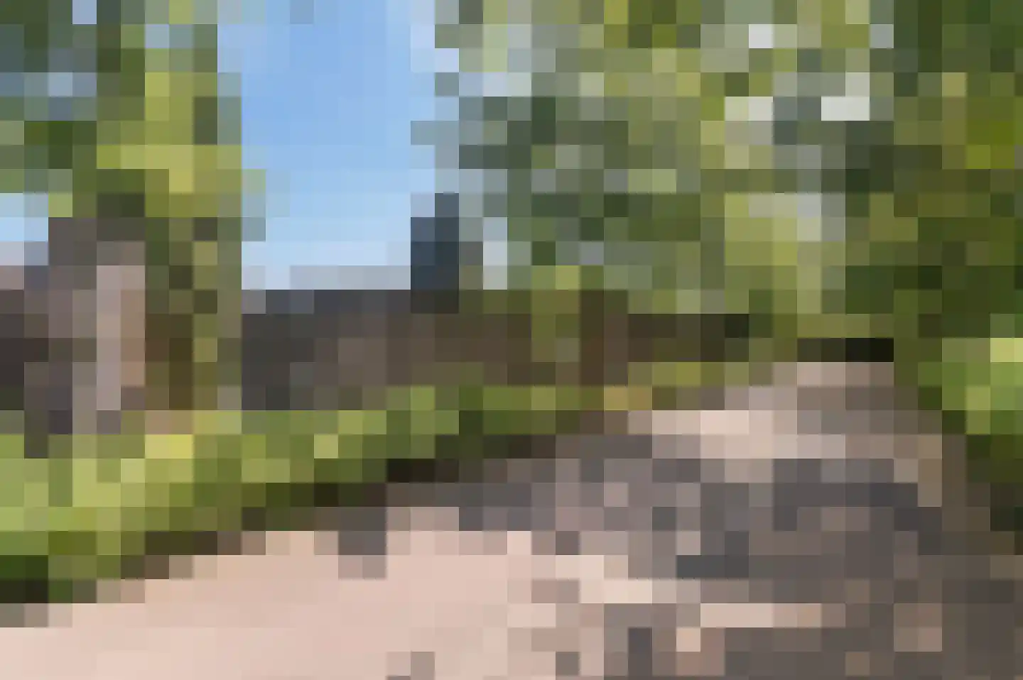 Voorhei 11 Veghel thumbnail 47