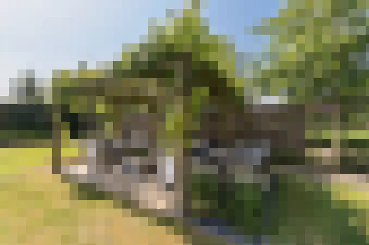 Voorhei 11 Veghel thumbnail 48