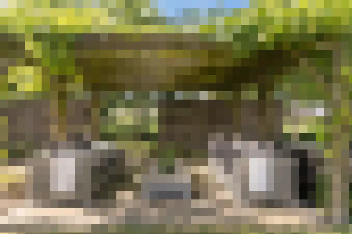 Voorhei 11 Veghel thumbnail 49