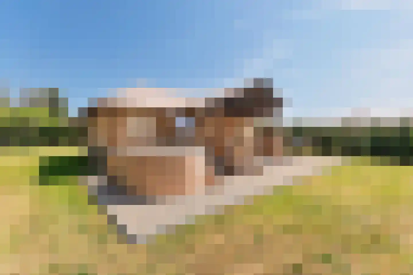 Voorhei 11 Veghel thumbnail 5