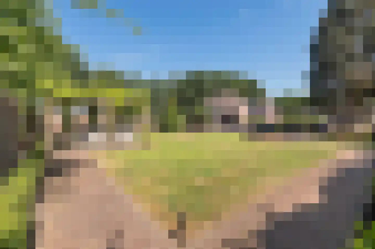 Voorhei 11 Veghel thumbnail 50