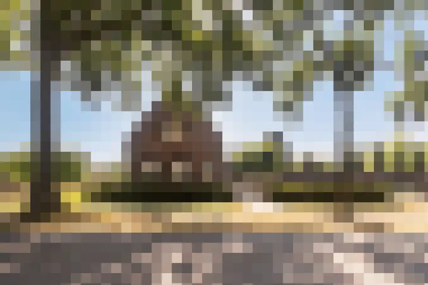 Voorhei 11 Veghel thumbnail 6