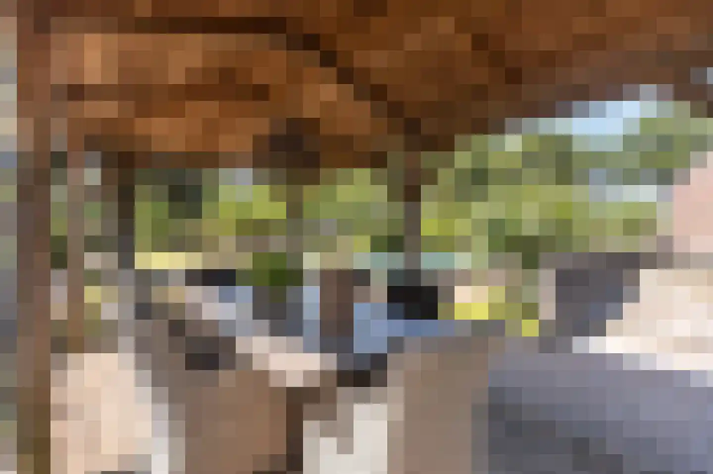 Voorhei 11 Veghel thumbnail 62