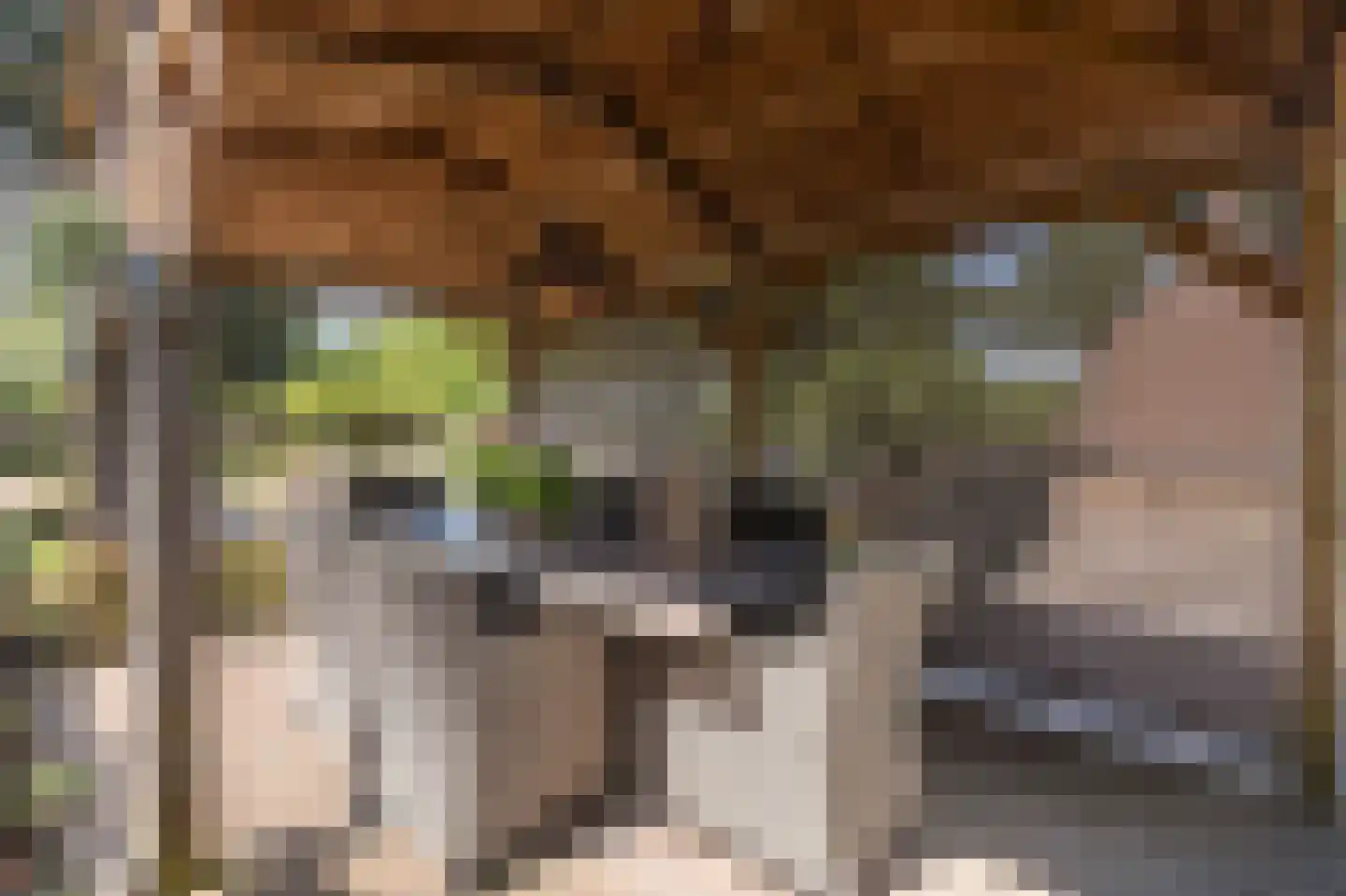 Voorhei 11 Veghel thumbnail 63
