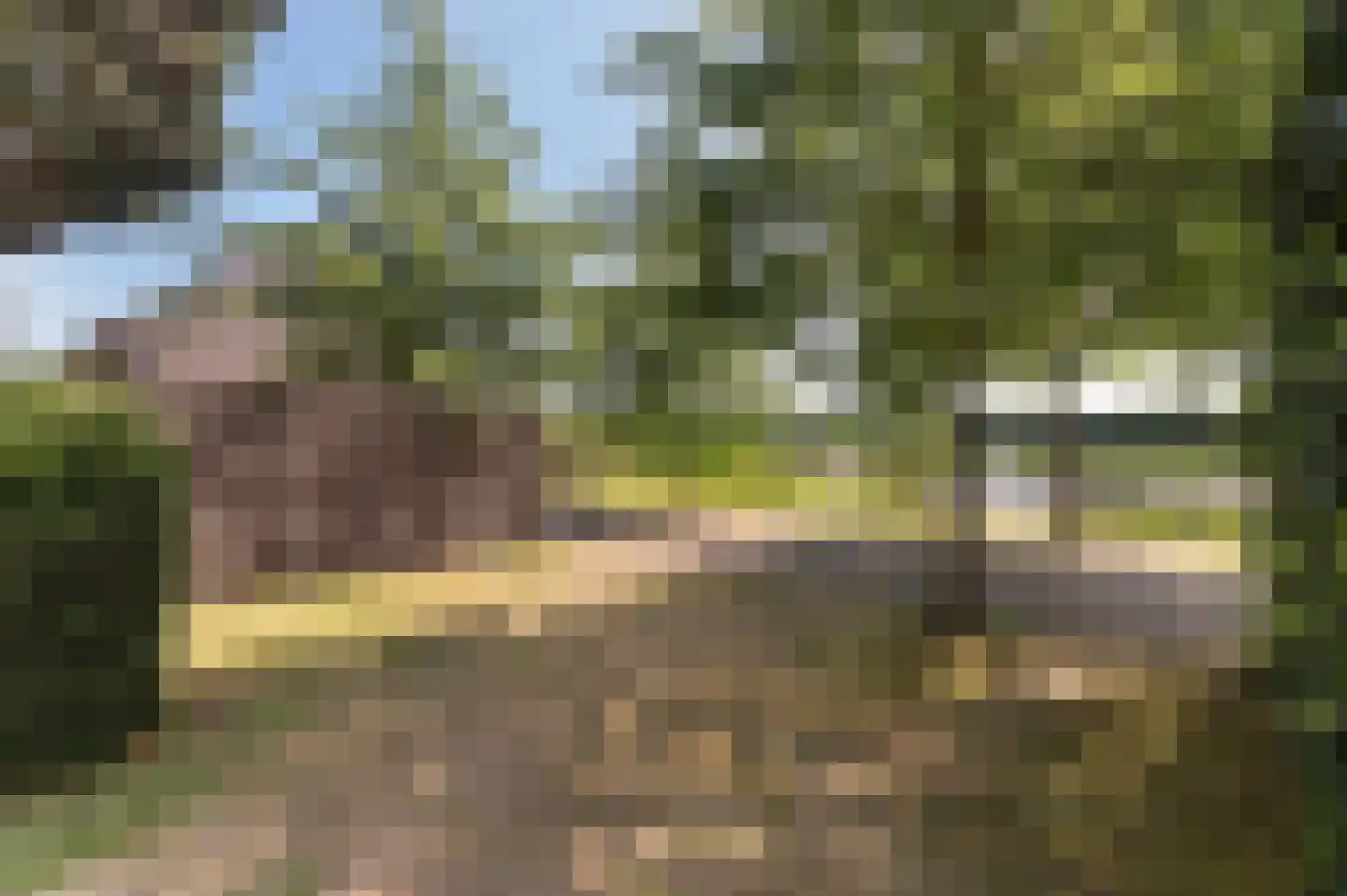 Voorhei 11 Veghel thumbnail 64