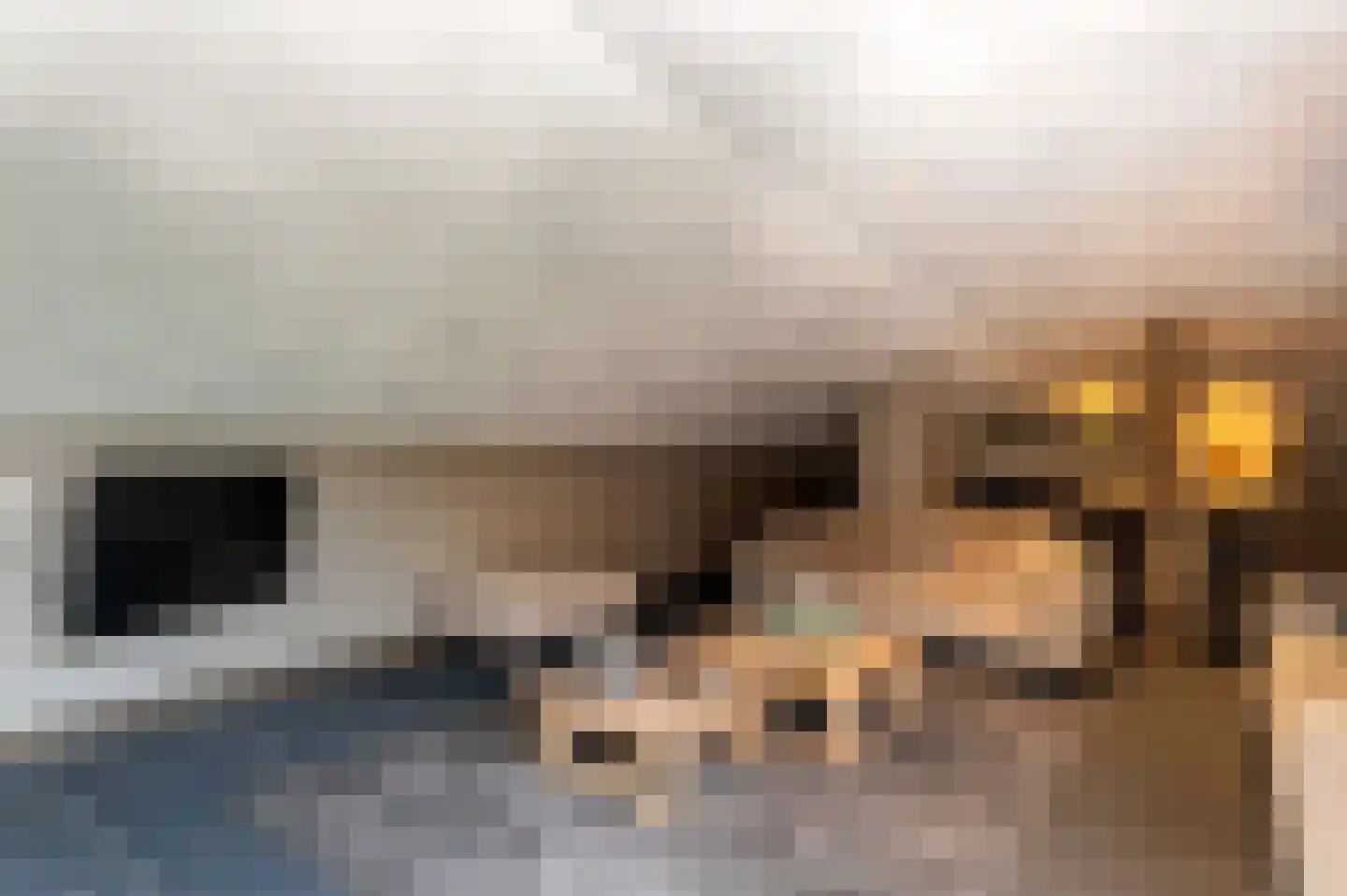 Voorhei 11 Veghel thumbnail 65
