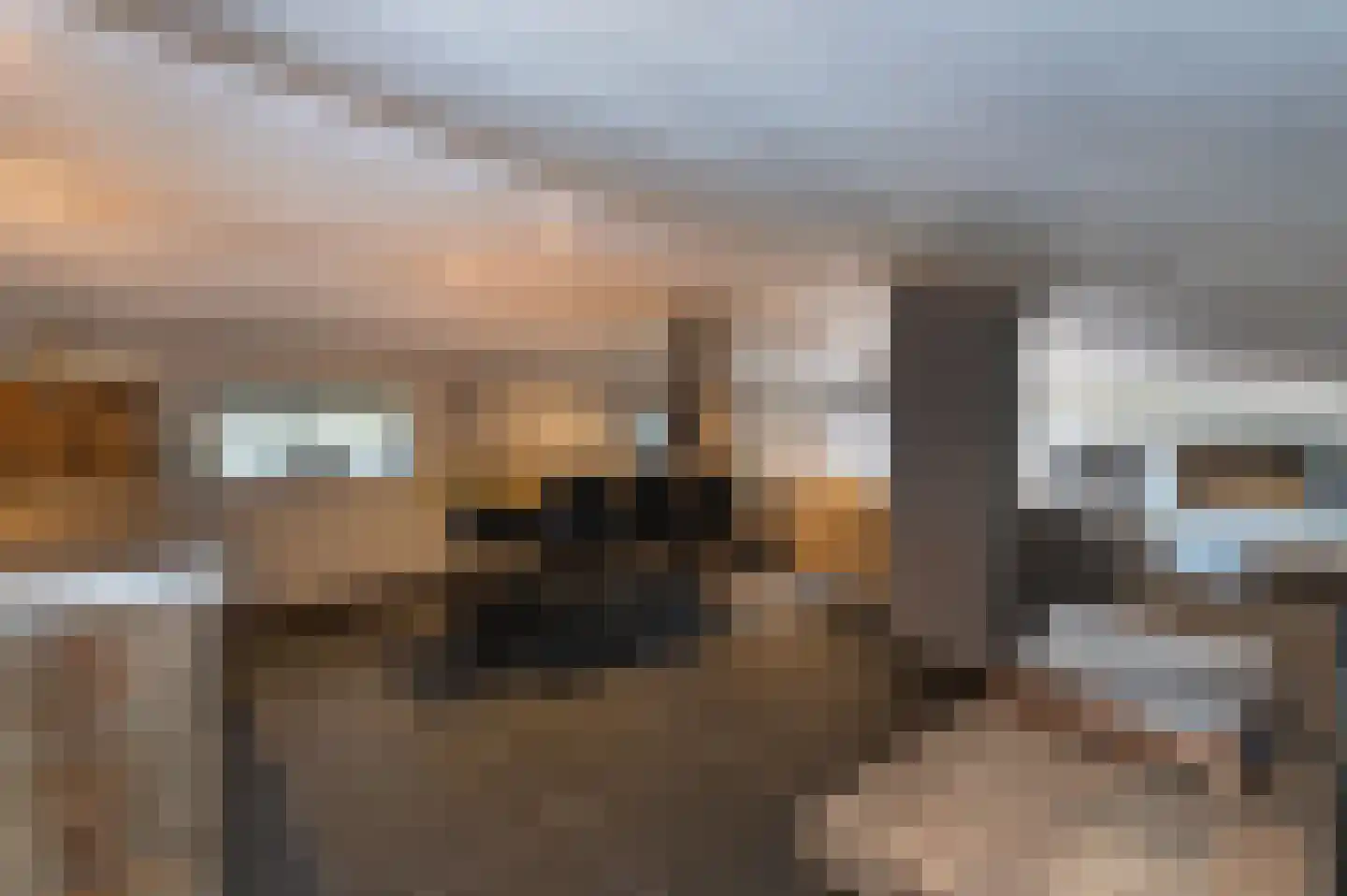 Voorhei 11 Veghel thumbnail 68