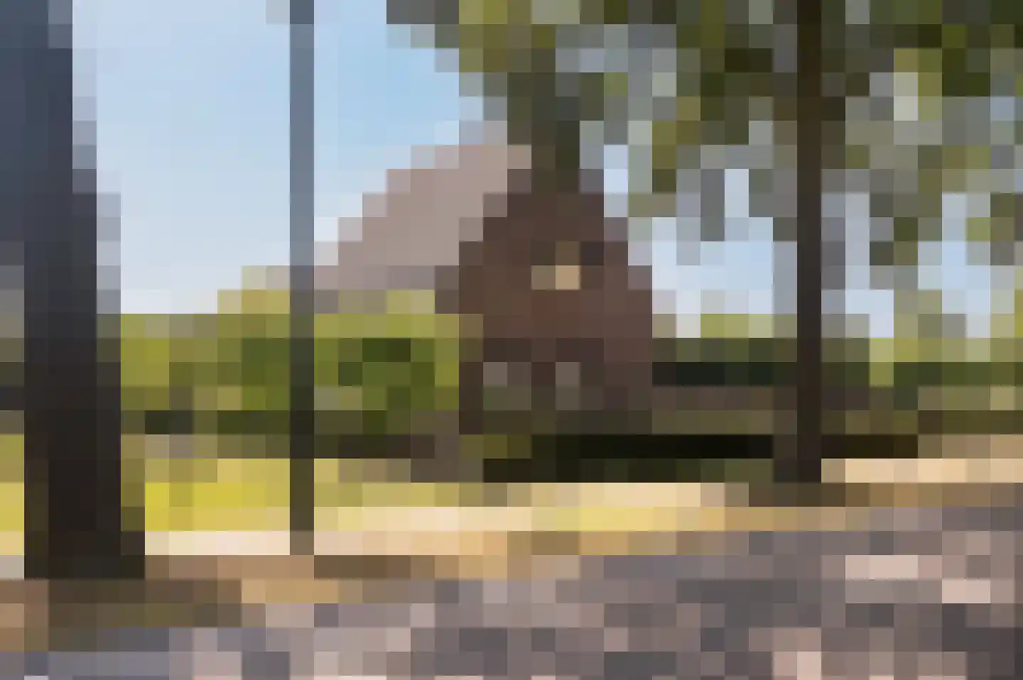 Voorhei 11 Veghel thumbnail 7