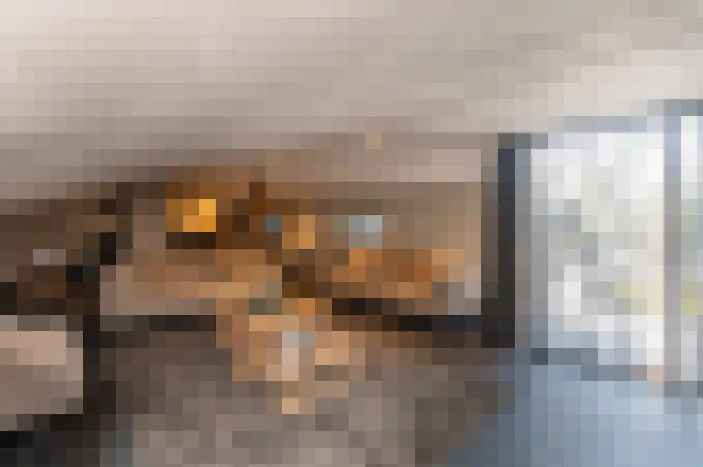 Voorhei 11 Veghel thumbnail 70