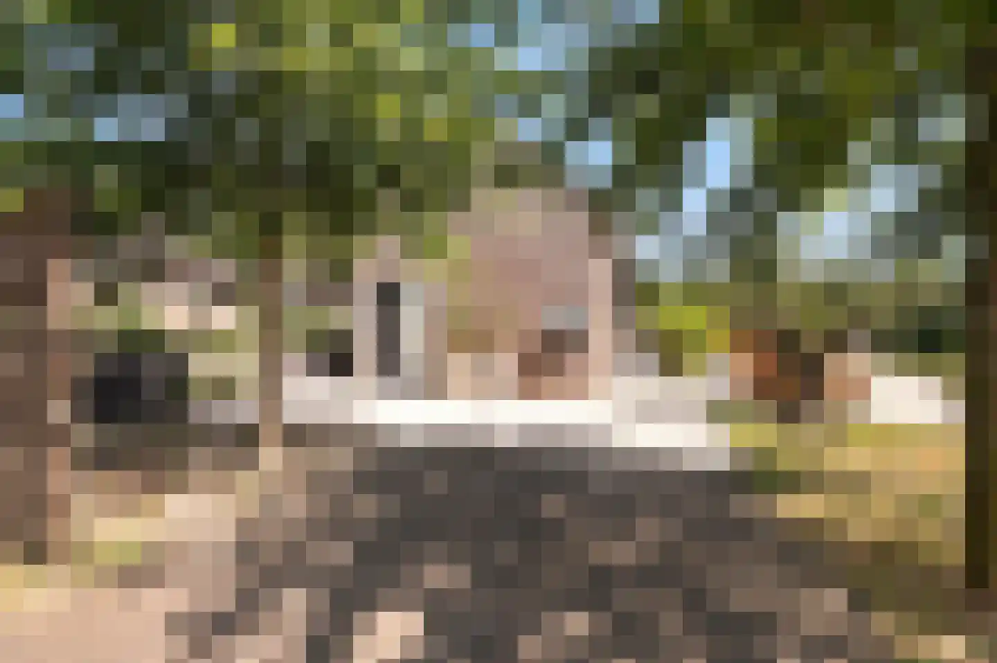 Voorhei 11 Veghel thumbnail 71