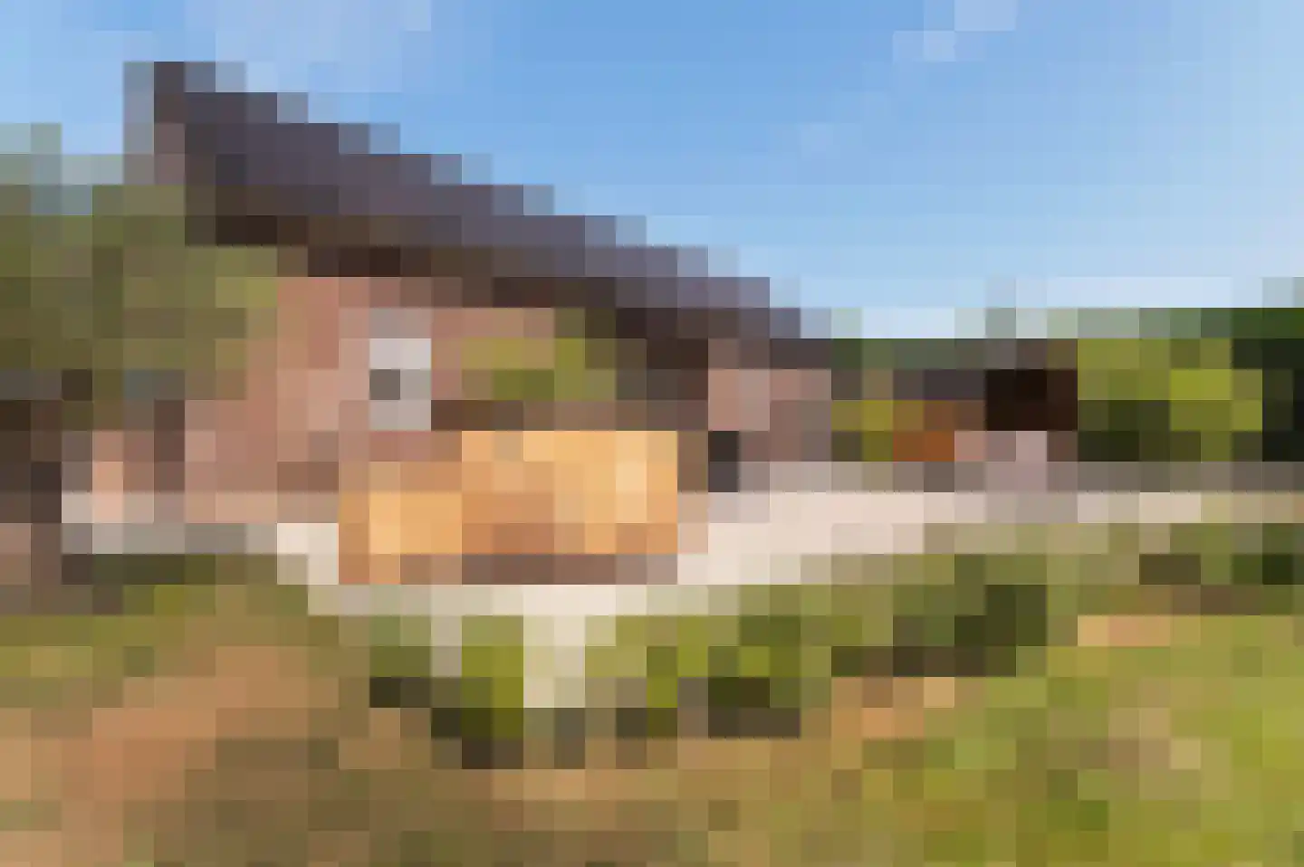 Voorhei 11 Veghel thumbnail 72