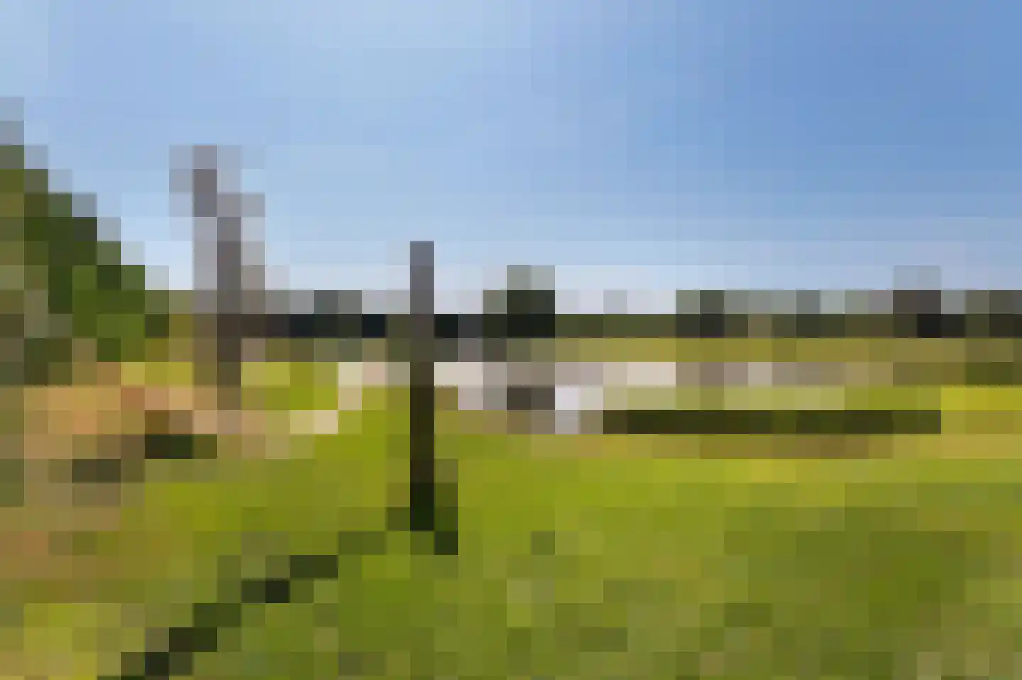 Voorhei 11 Veghel thumbnail 74