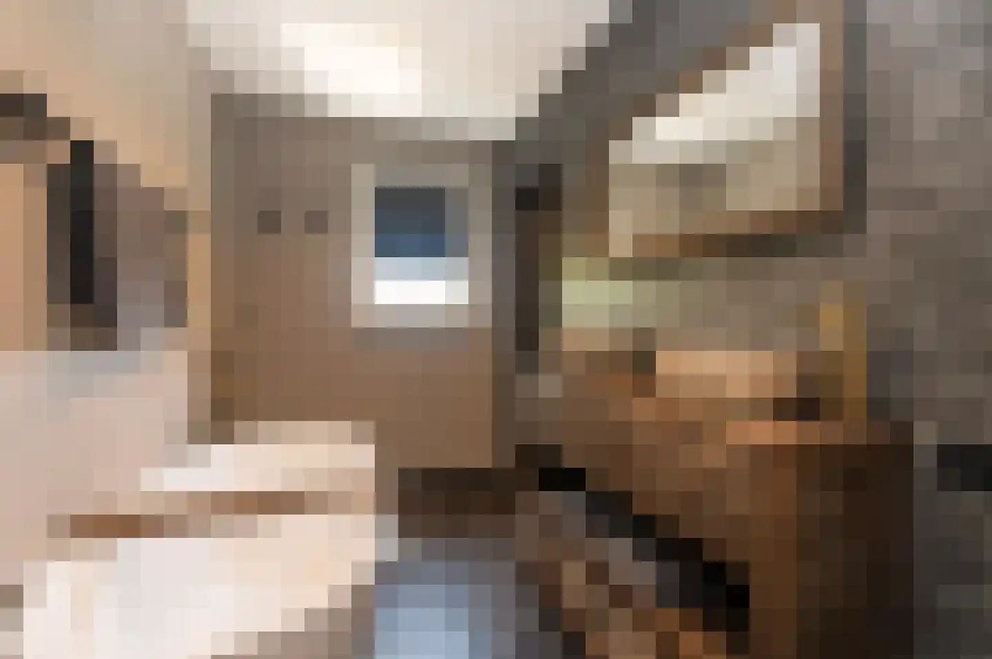 Voorhei 11 Veghel thumbnail 77