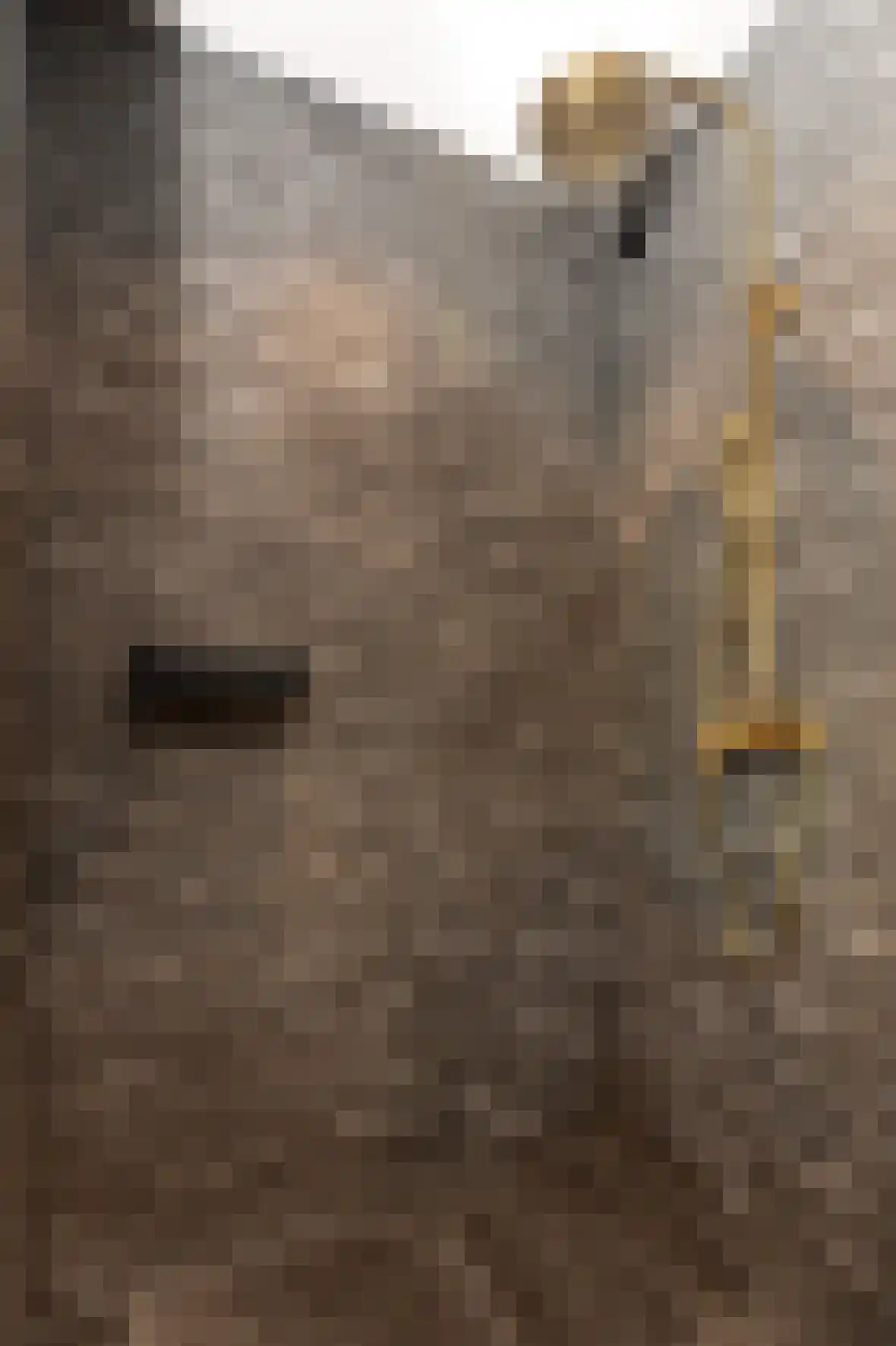 Voorhei 11 Veghel thumbnail 79