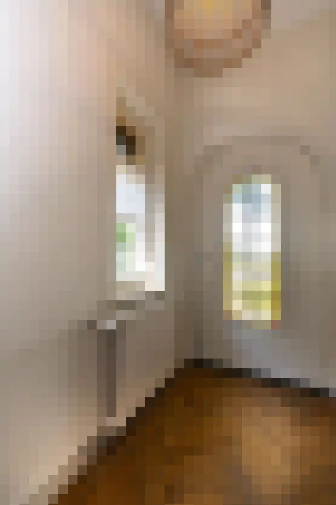 Voorhei 11 Veghel thumbnail 8