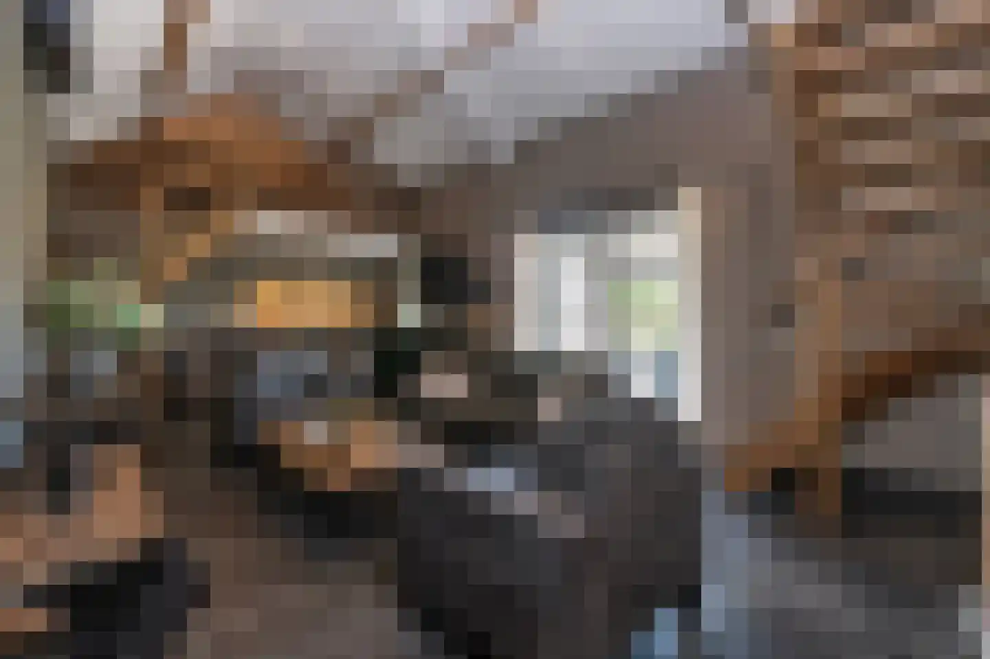 Voorhei 11 Veghel thumbnail 80