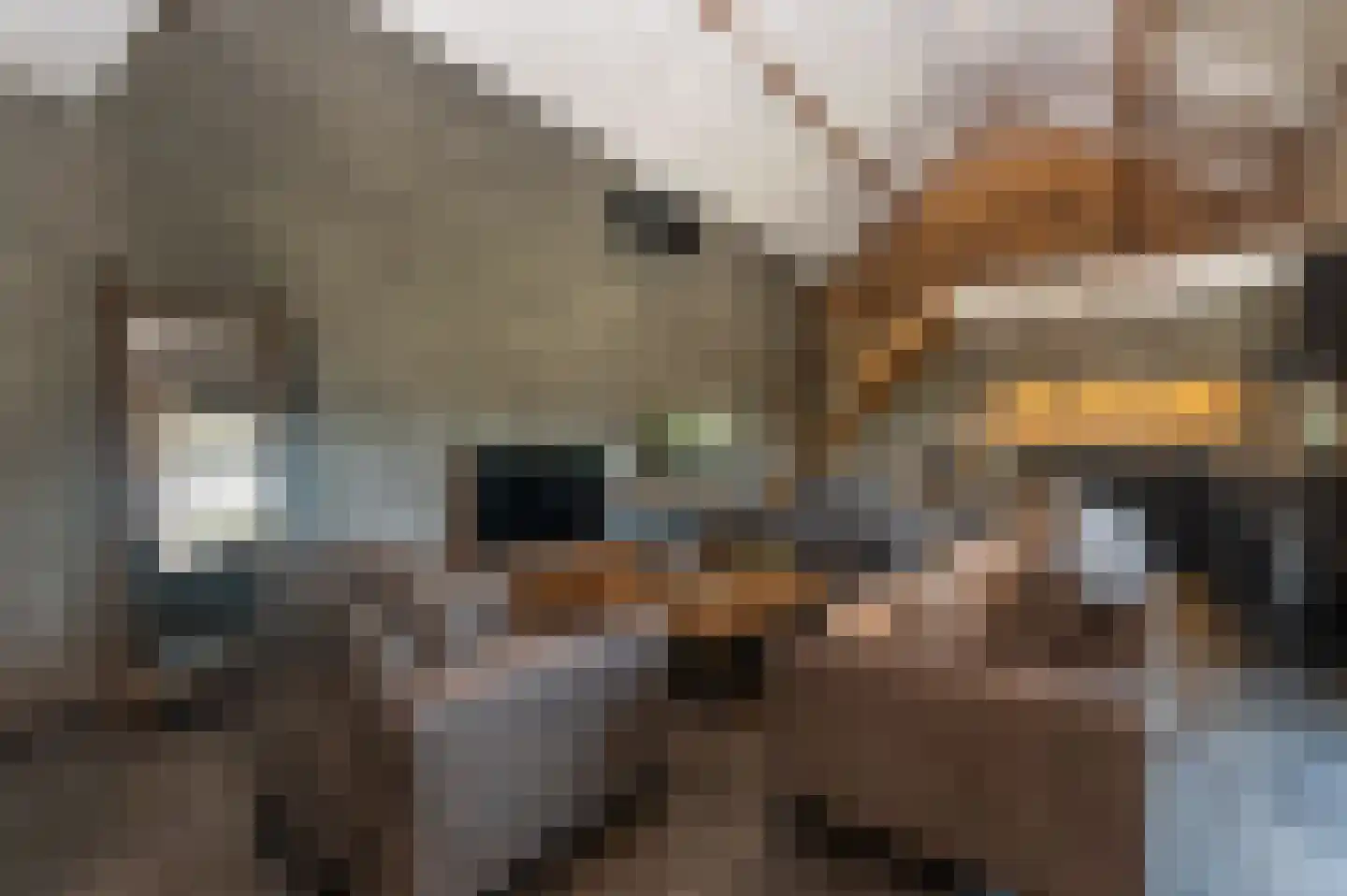 Voorhei 11 Veghel thumbnail 81