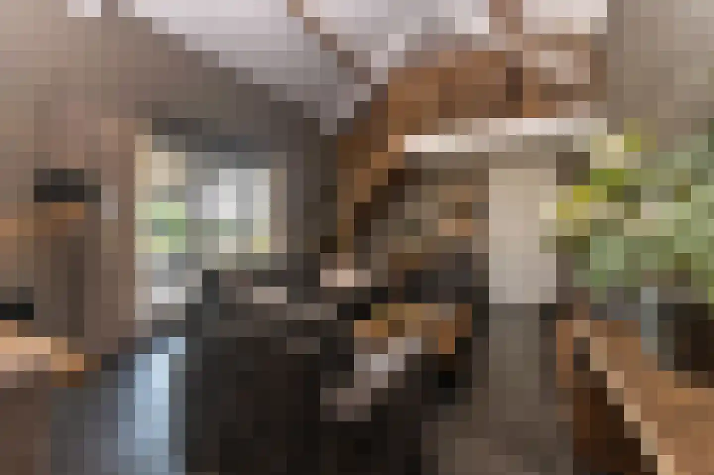 Voorhei 11 Veghel thumbnail 82