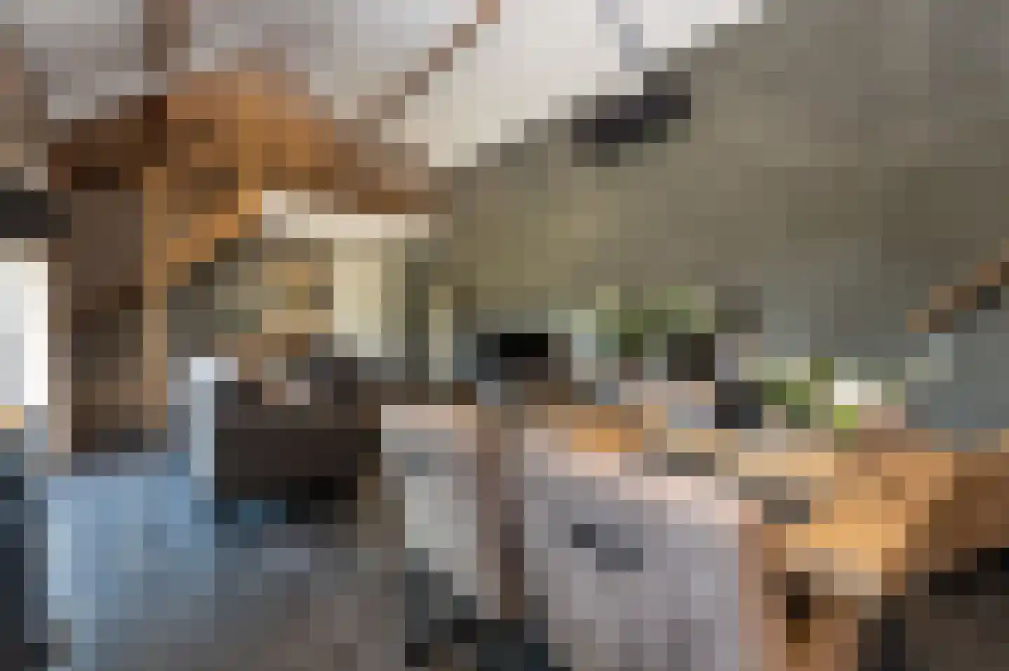 Voorhei 11 Veghel thumbnail 85