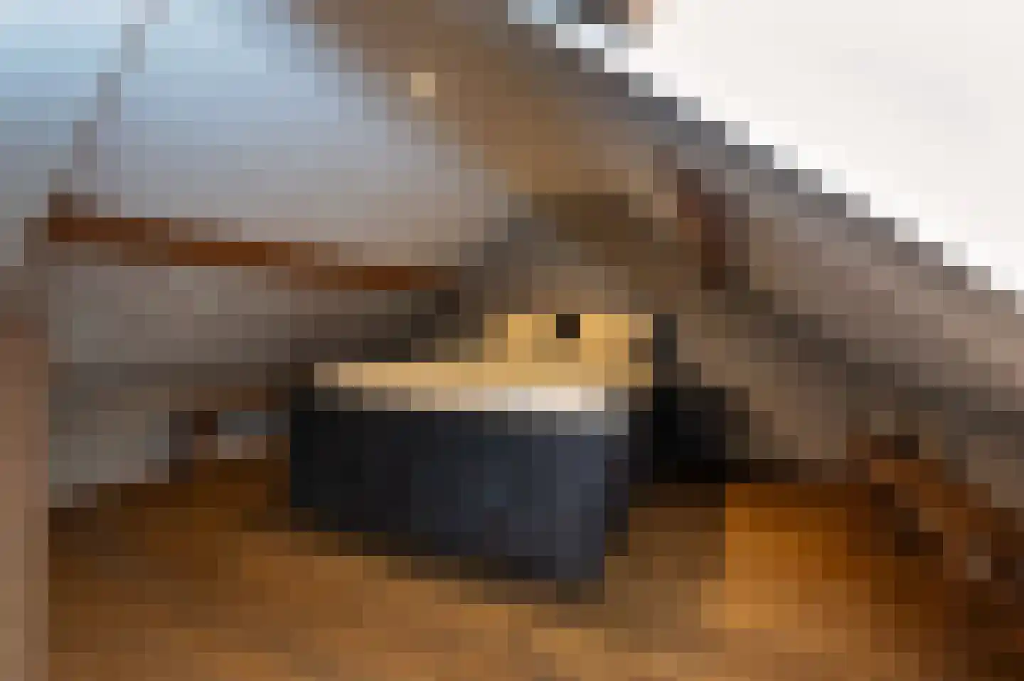 Voorhei 11 Veghel thumbnail 86