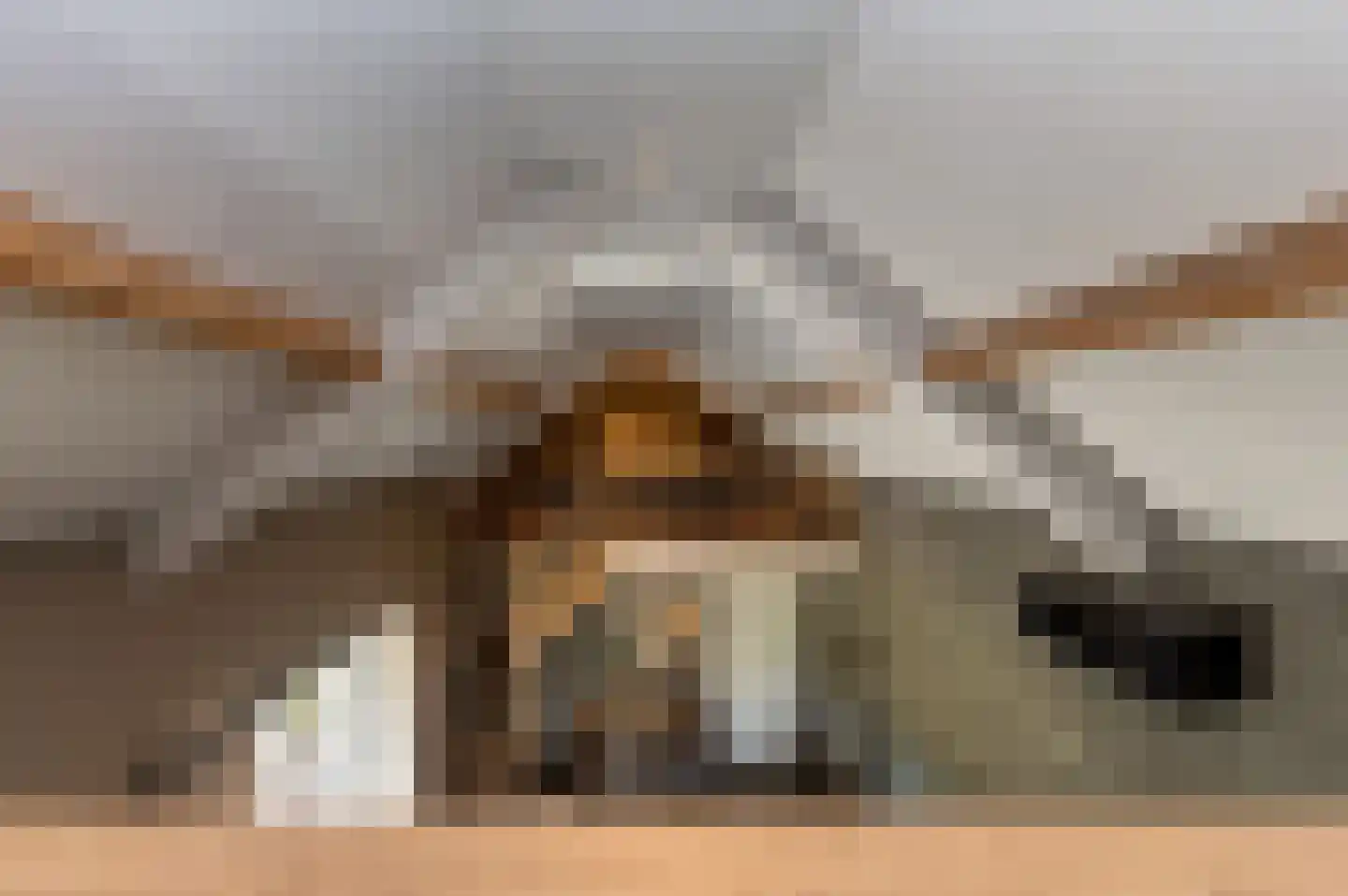 Voorhei 11 Veghel thumbnail 87