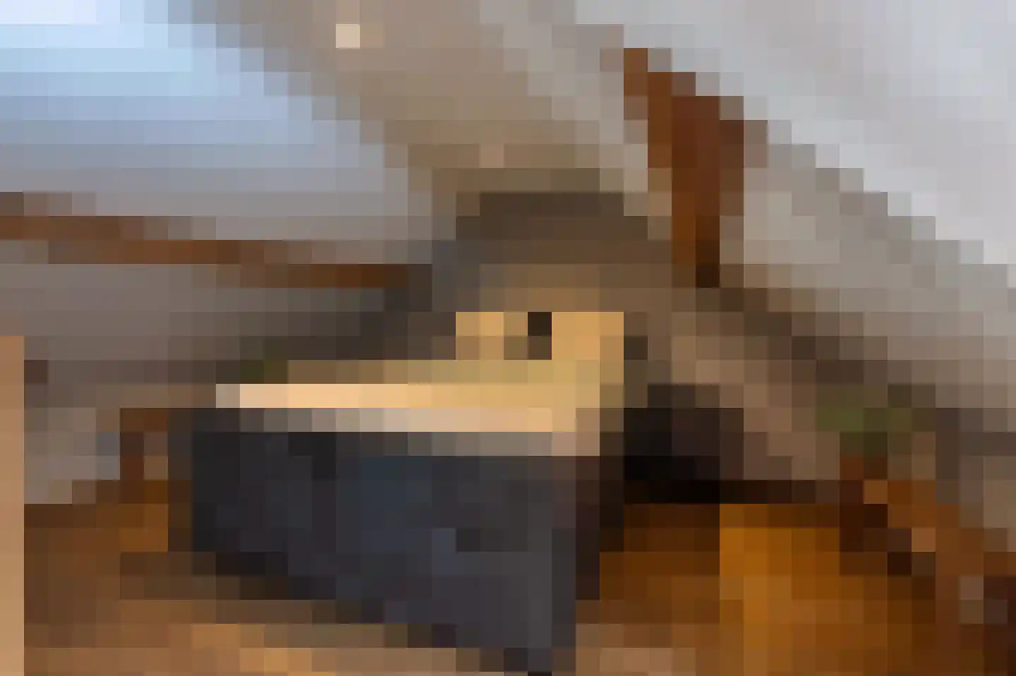Voorhei 11 Veghel thumbnail 88