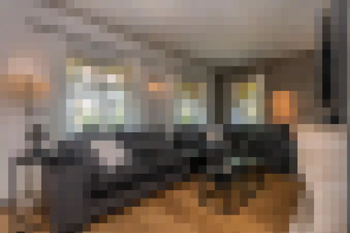Voorhei 11 Veghel thumbnail 9