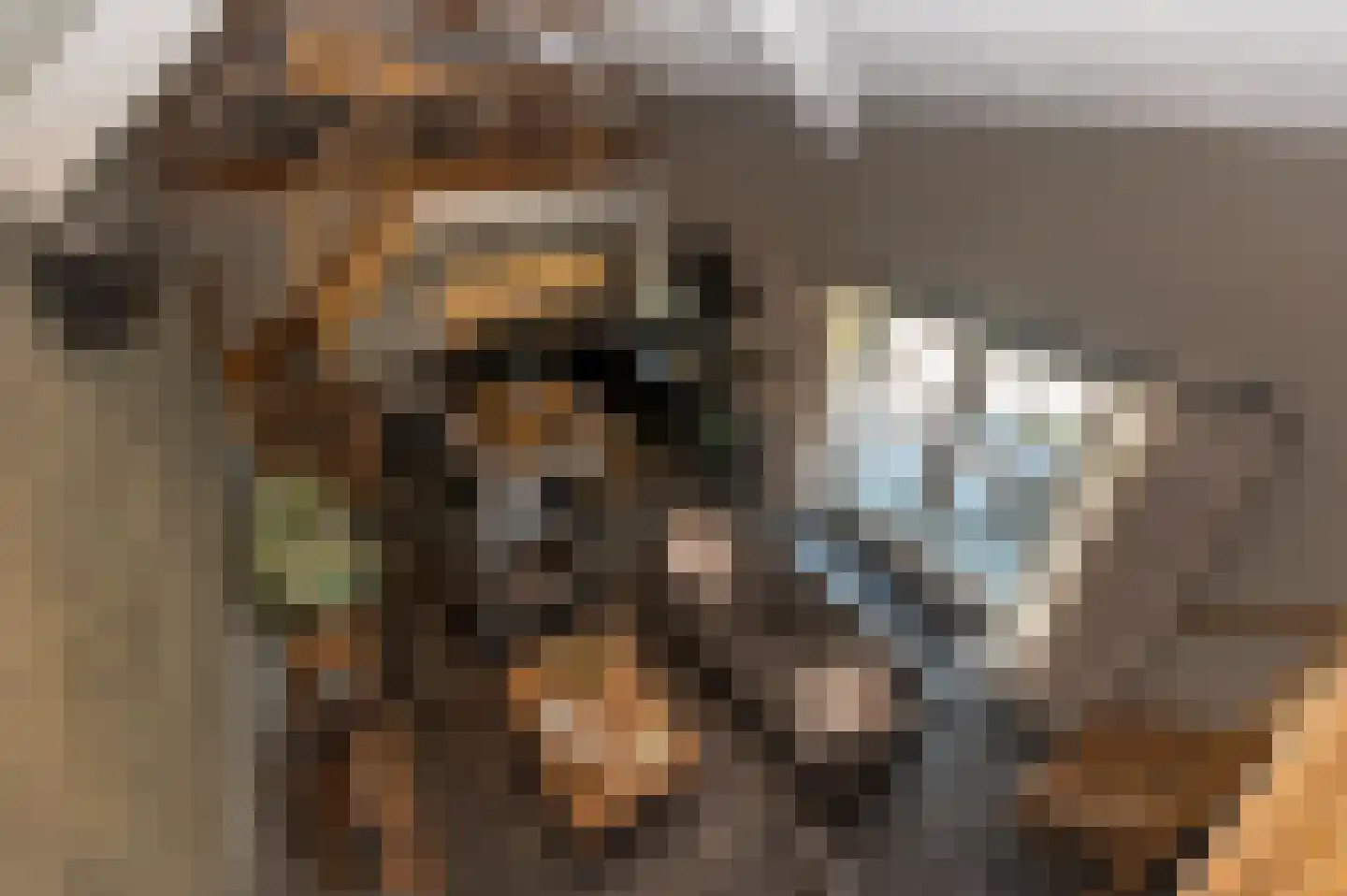 Voorhei 11 Veghel thumbnail 90