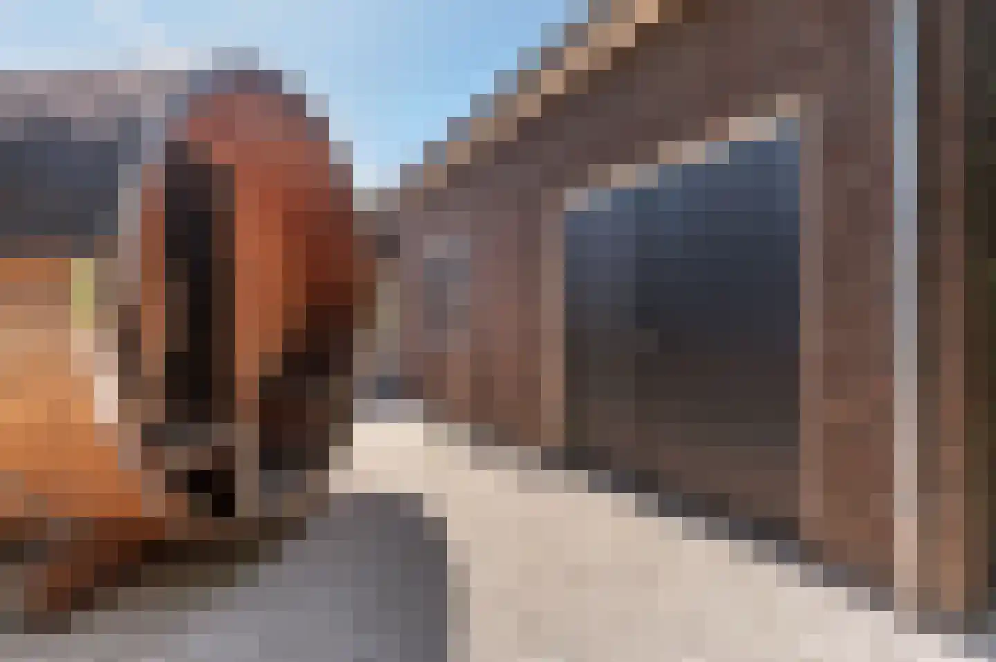 Voorhei 11 Veghel thumbnail 91