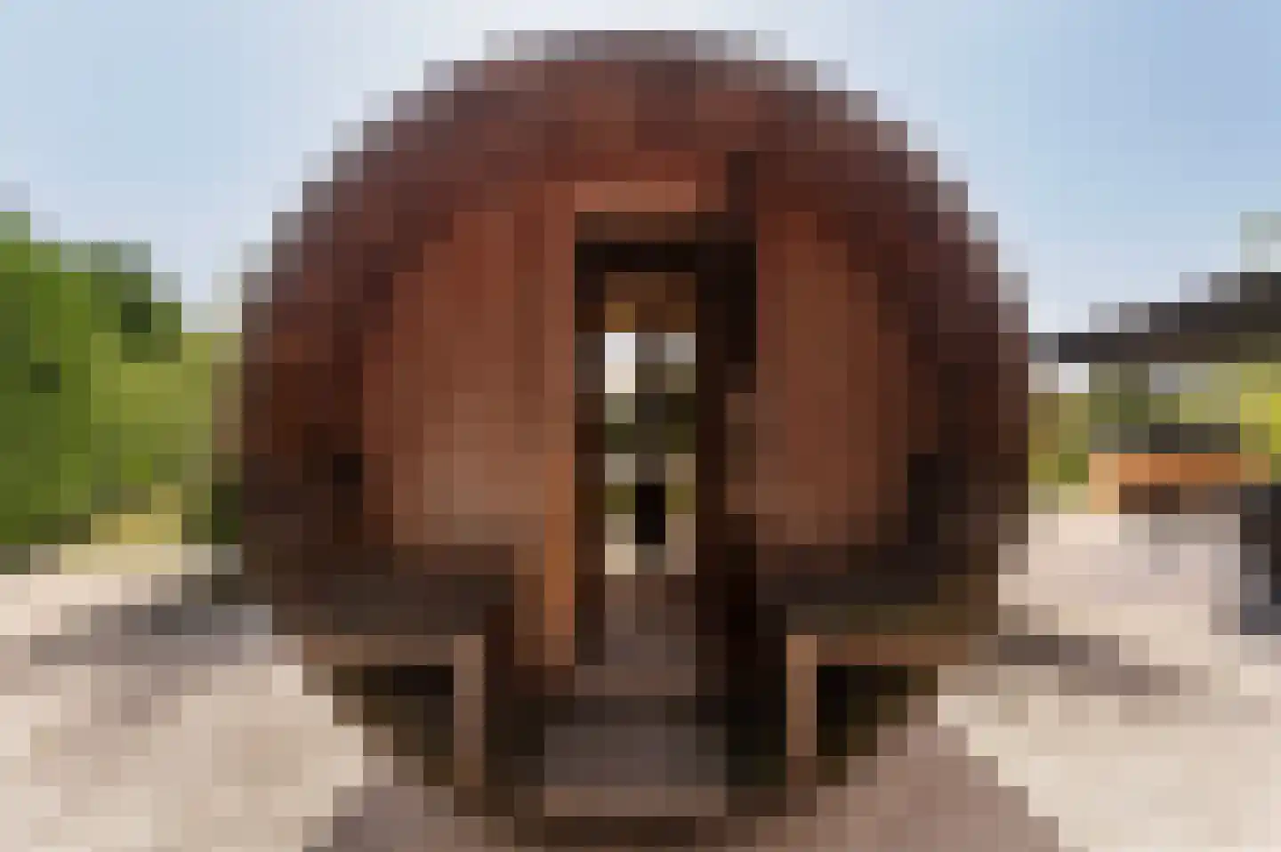 Voorhei 11 Veghel thumbnail 93