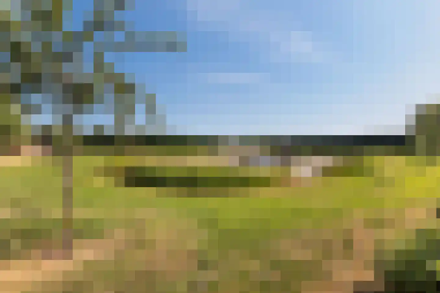 Voorhei 11 Veghel thumbnail 96
