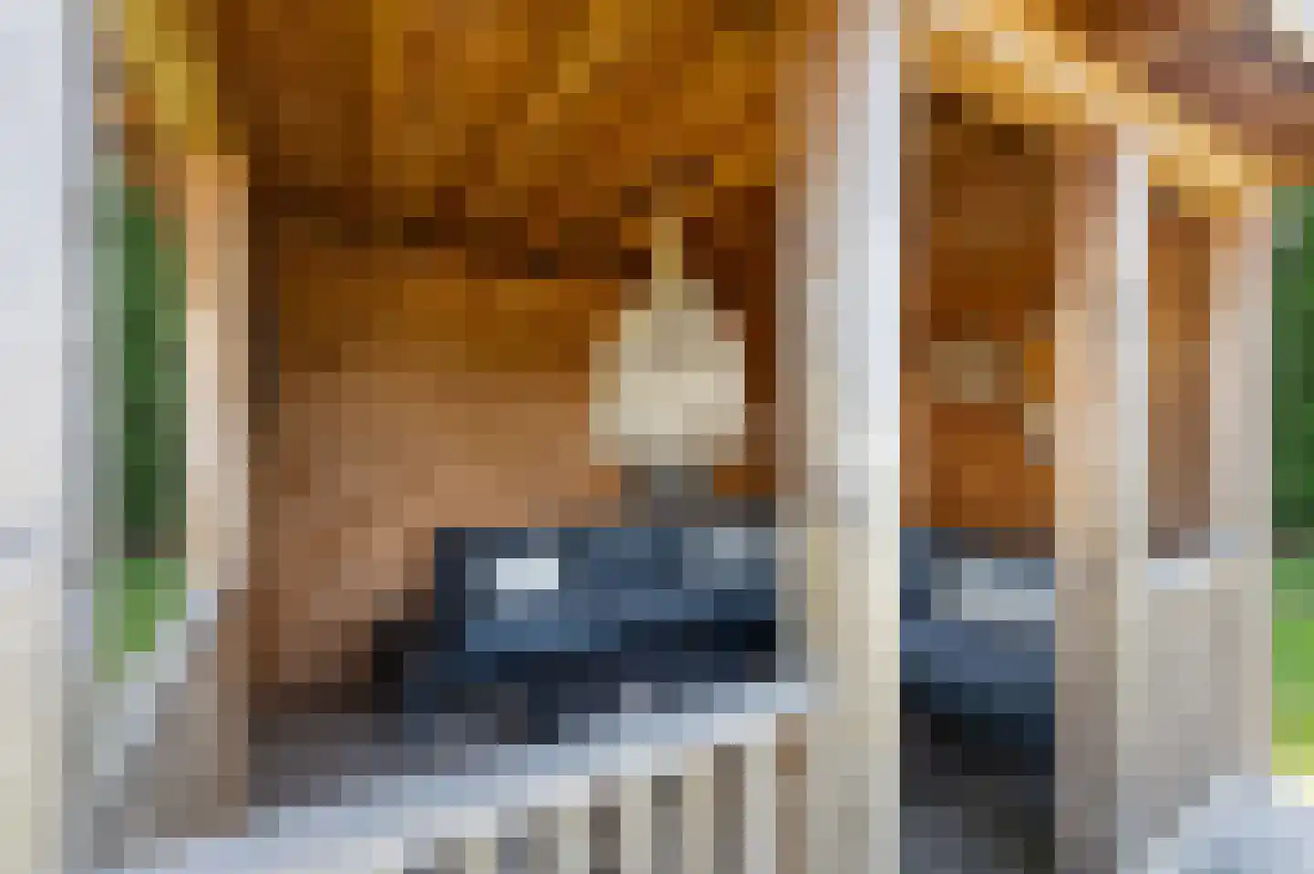 Voorhei 11 Veghel thumbnail 98