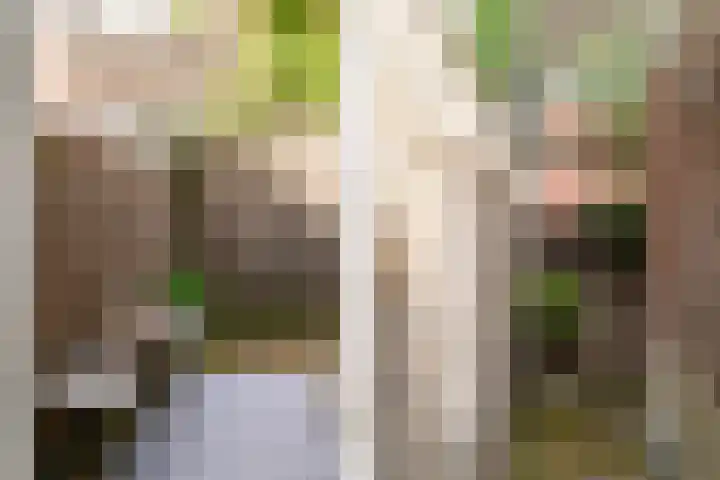 Voorhelmstraat 30 ZW Haarlem thumbnail 5