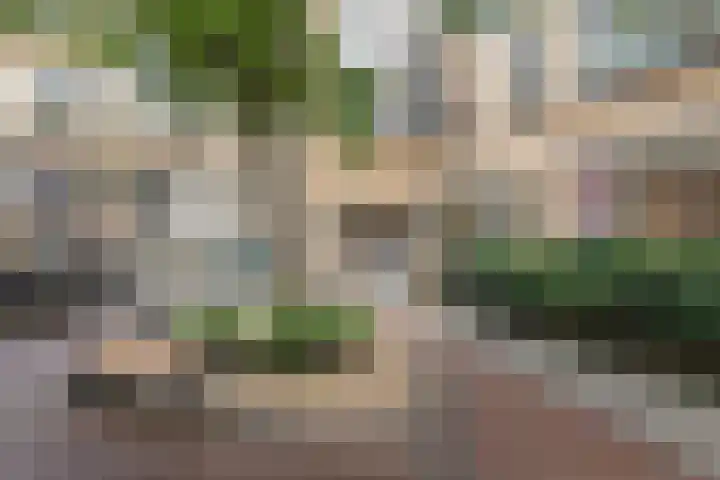 Voorhelmstraat 42 Haarlem thumbnail 38