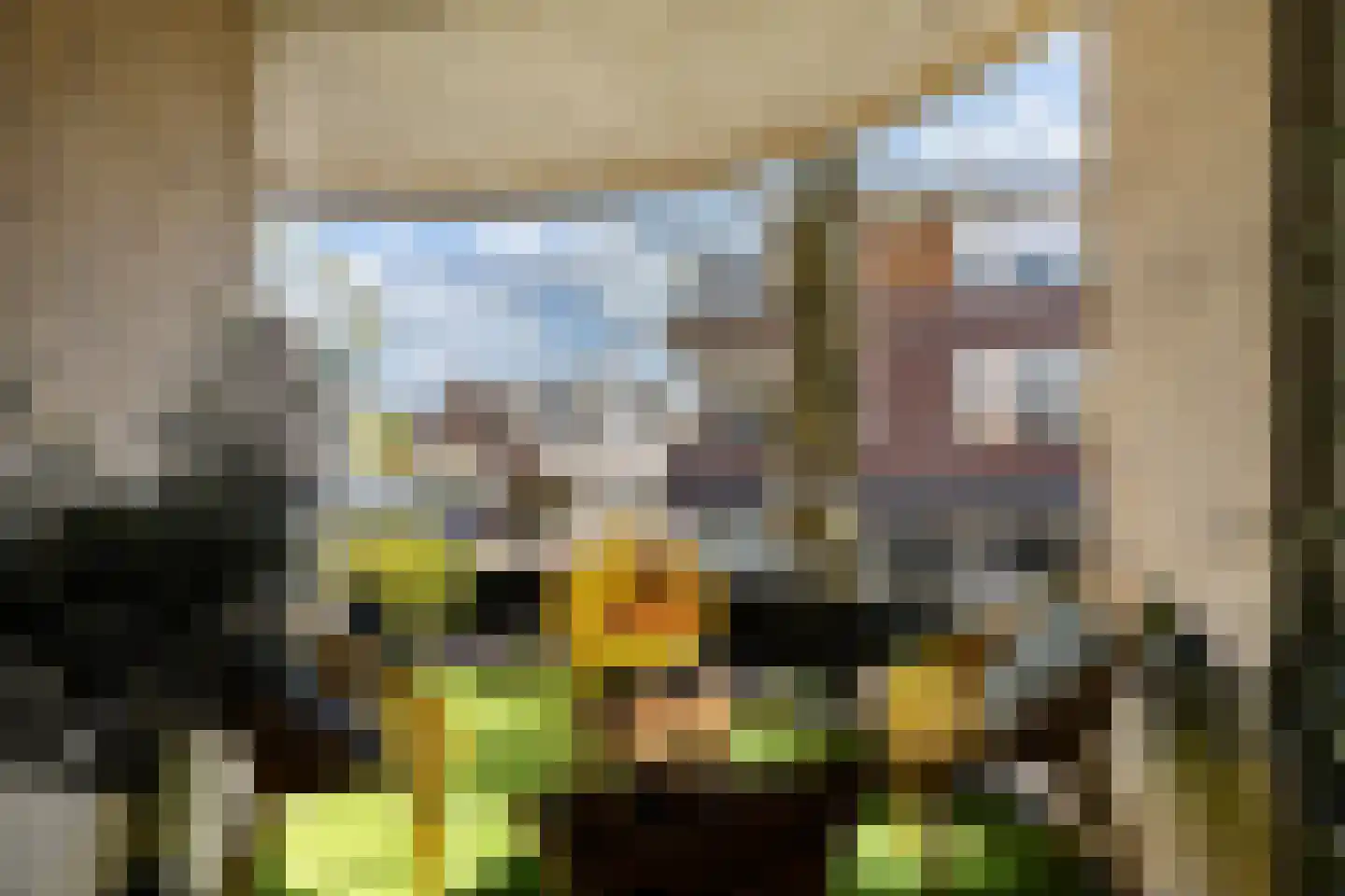 Voorheuvel 119 Zeist thumbnail 15