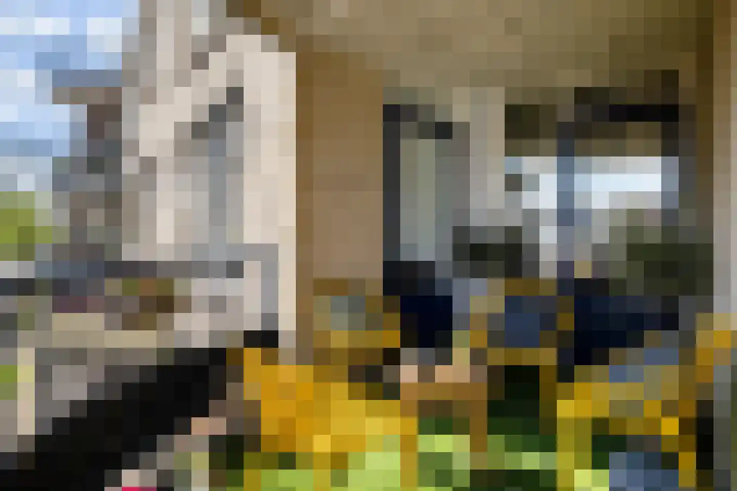 Voorheuvel 119 Zeist thumbnail 16