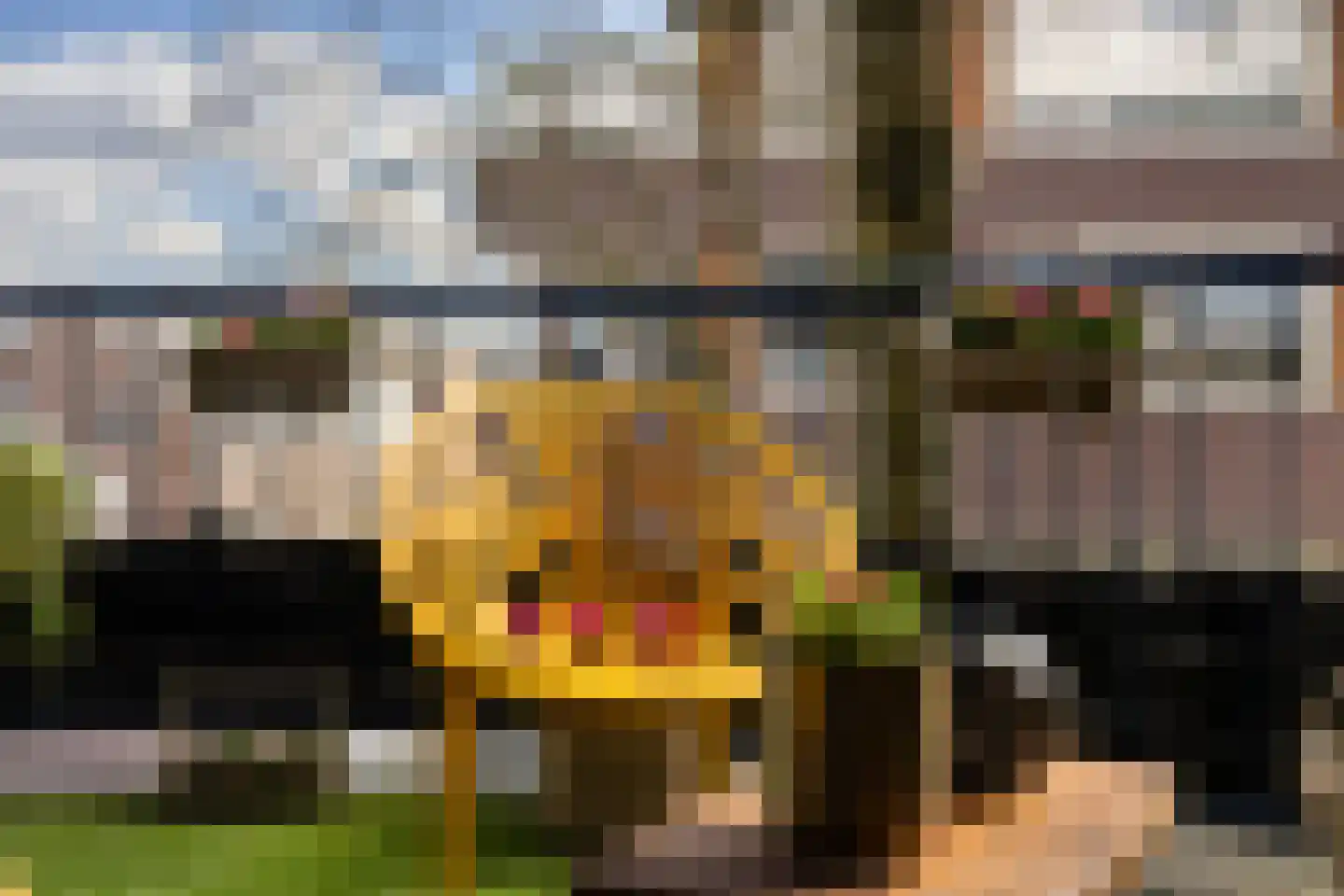 Voorheuvel 119 Zeist thumbnail 17