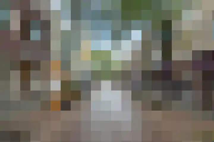 Voorheuvel 121 Zeist thumbnail 28
