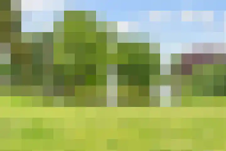 Voorheuvel 129 Zeist thumbnail 29
