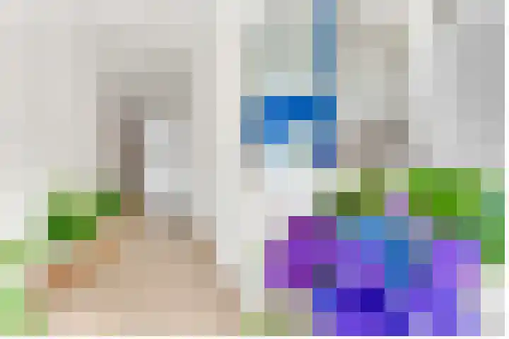 Voorheuvel 129 Zeist thumbnail 4