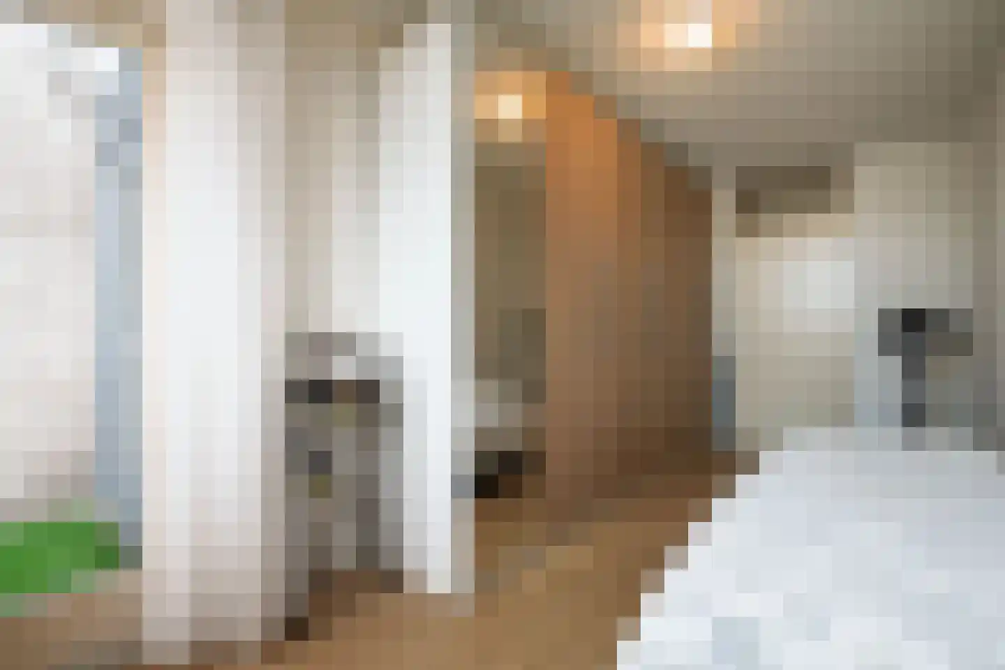 Voorheuvel 41 G Zeist thumbnail 15