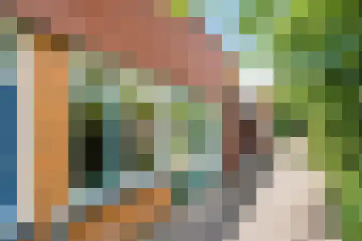 Voorheuvel 59 F Zeist thumbnail 31